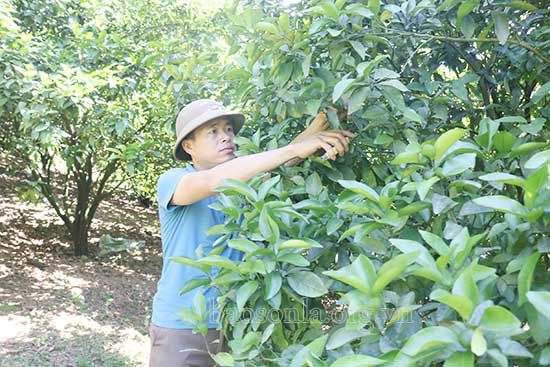  Mường Cơi nâng cao chất lượng các tiêu chí nông thôn mới