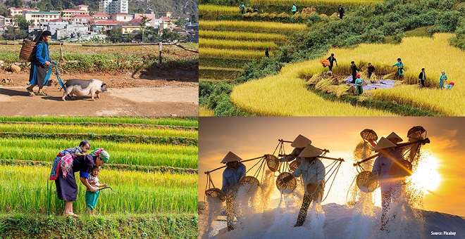 THÔNG TIN VÀ TRUYỀN THÔNG VỚI NÔNG THÔN