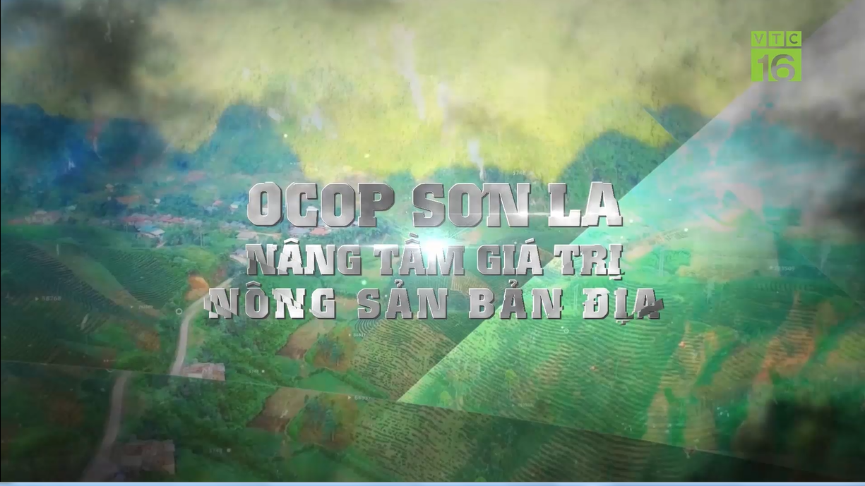 OCOP Sơn La nâng tầm giá trị nông sản bản địa