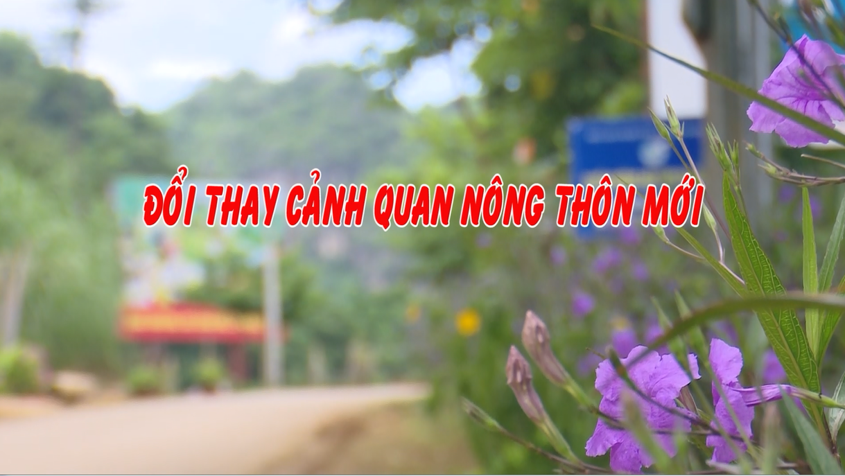Đổi thay cảnh quan nông thôn mới
