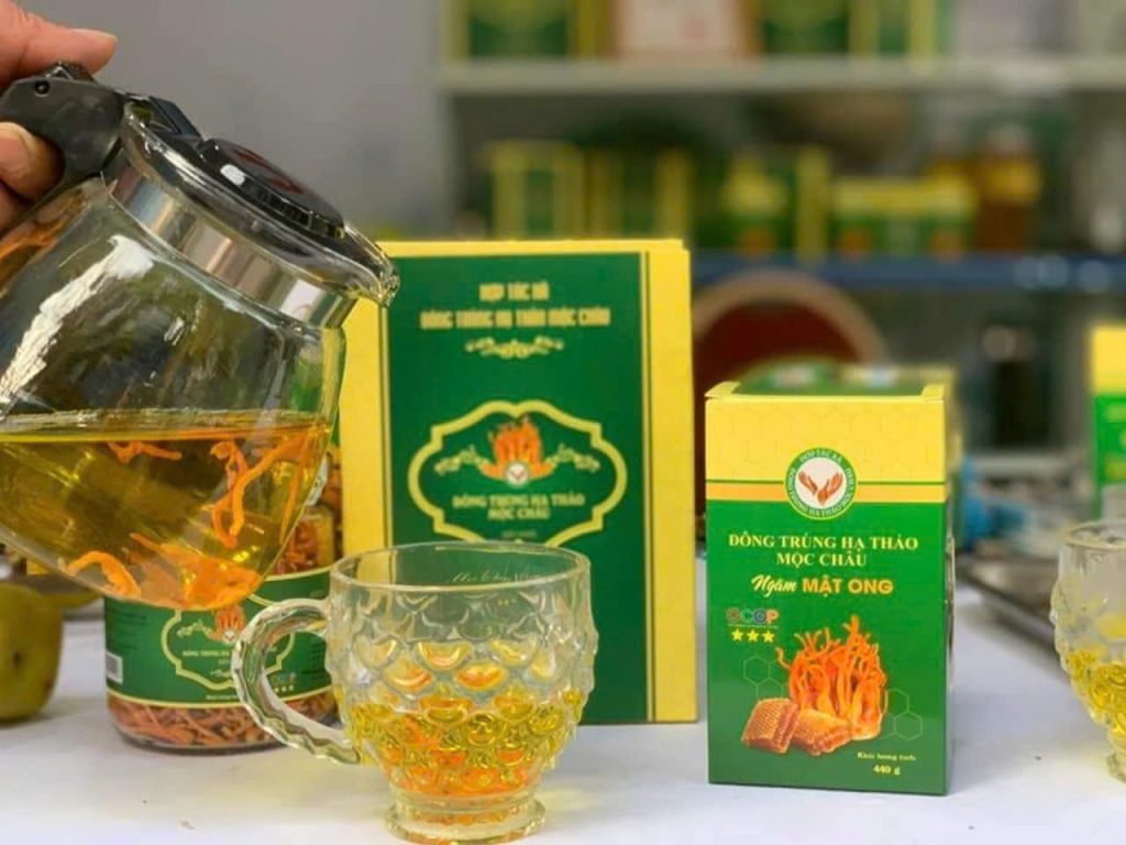 Đông trùng hạ thảo Mộc Châu - Ngâm mật ong