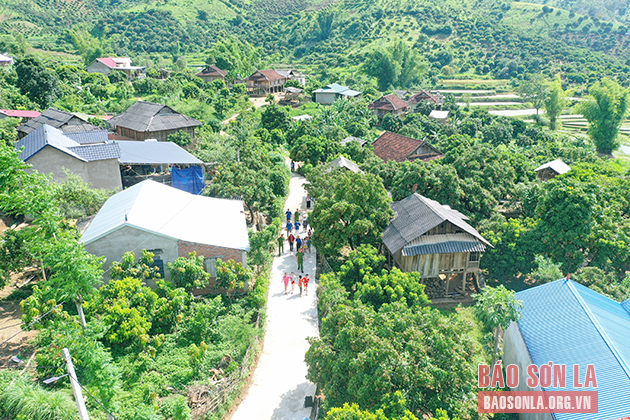 “Đường tình nghĩa” - Ấm tình quân dân