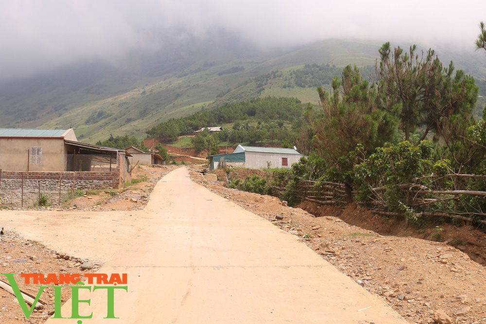 Xây dựng nông thôn mới ở xã nghèo Suối Tọ