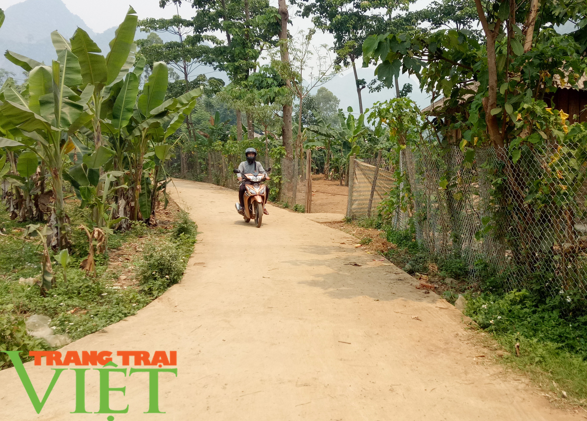 Nông thôn mới Tông Cọ ngày một khởi sắc