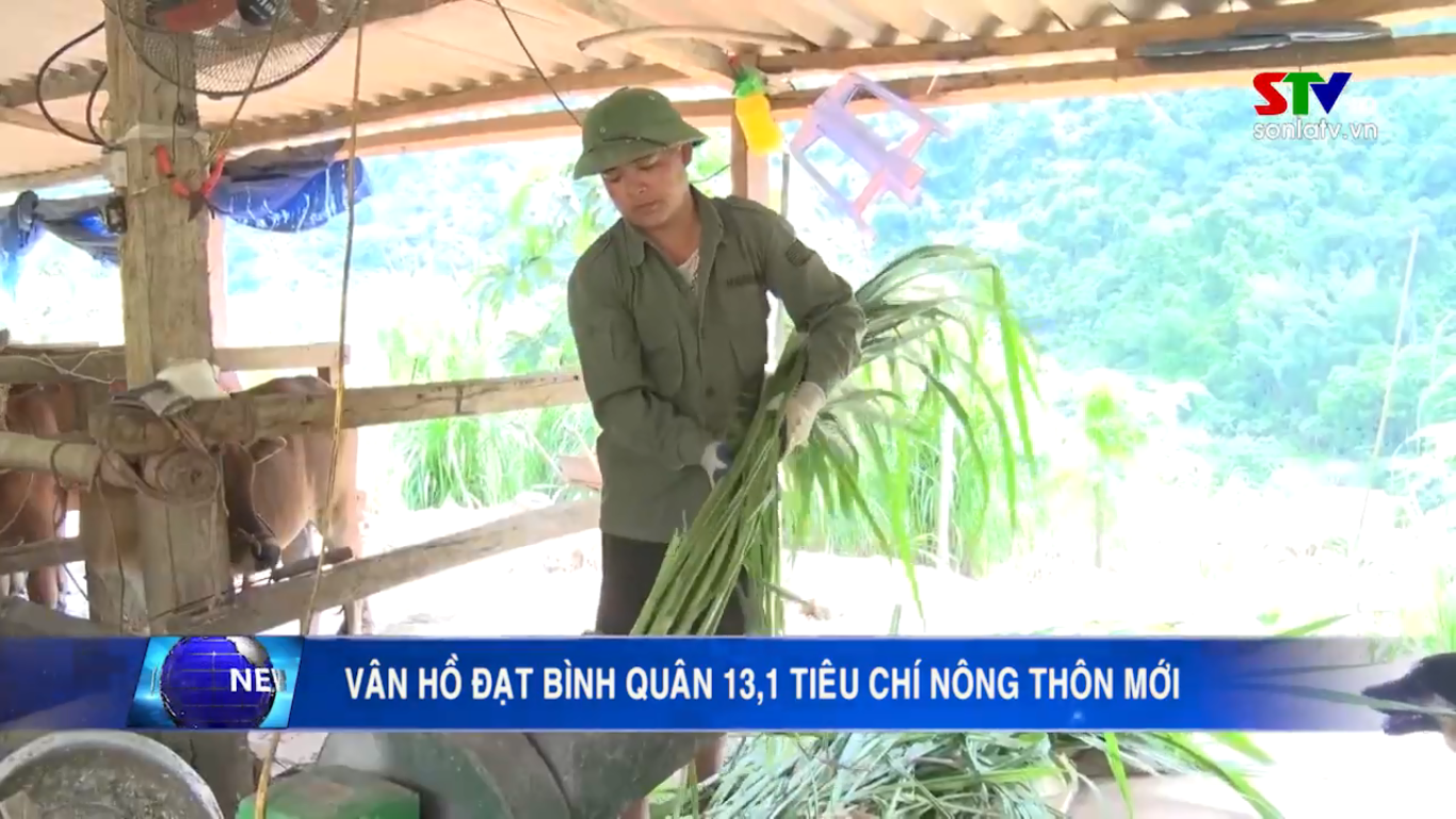 Huyện Vân Hồ đạt bình quân 13,1 tiêu chí nông thôn mới