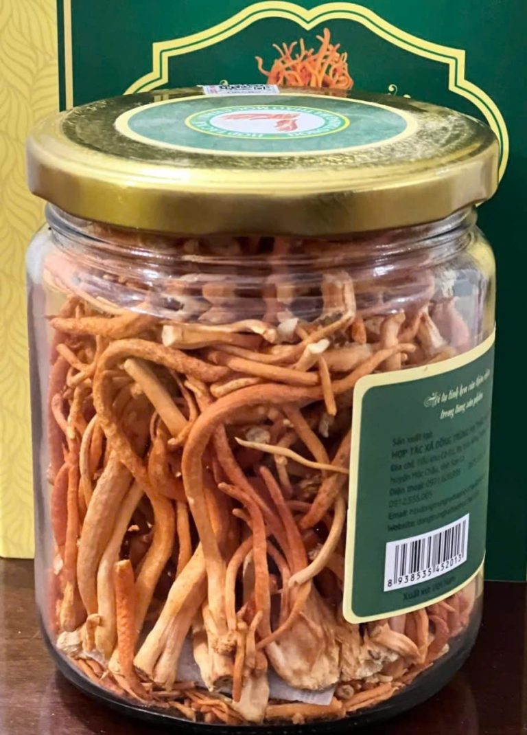 Đông trùng hạ thảo Mộc Châu- Sấy khô