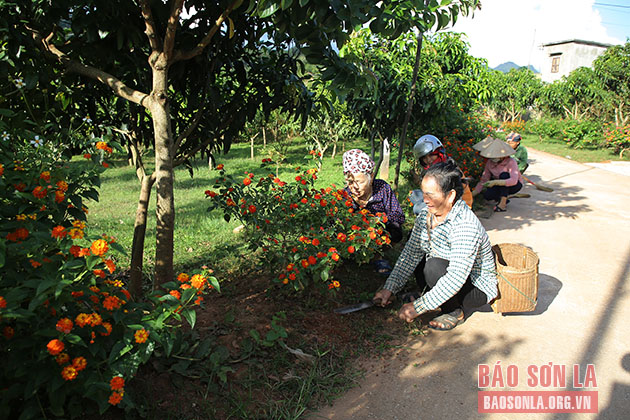 Giữ môi trường nông thôn sạch đẹp