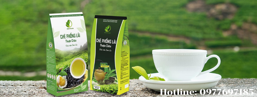 Chè Trọng Nguyên - Phỏng Lái, Thuận Châu