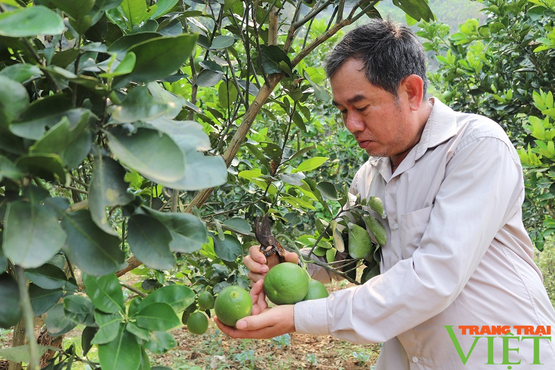 Chiềng Khoang phấn đấu cán đích nông thôn mới nâng cao