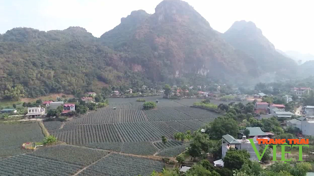 Nông thôn Tây Bắc: Sức sống ở bản nông thôn mới kiểu mẫu