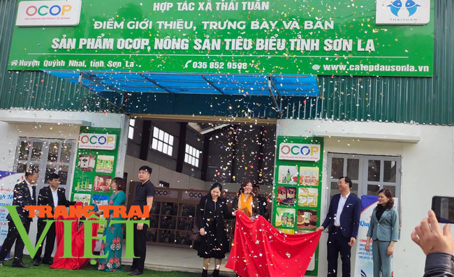 Khai trương điểm giới thiệu và bán sản phẩm OCOP tại huyện Quỳnh Nhai