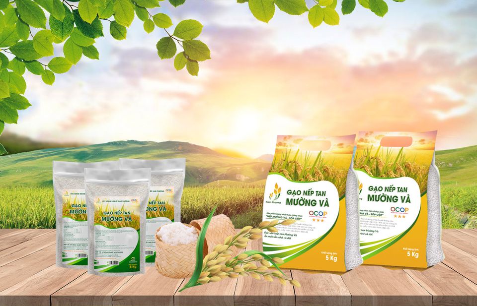 Gạo nếp tan Mường Và