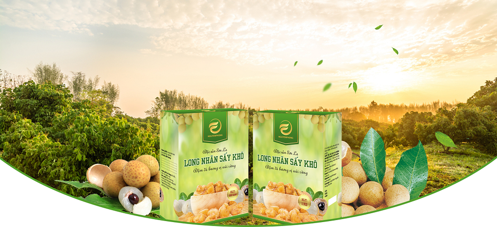 Long nhãn sấy khô Nguyễn Phòng