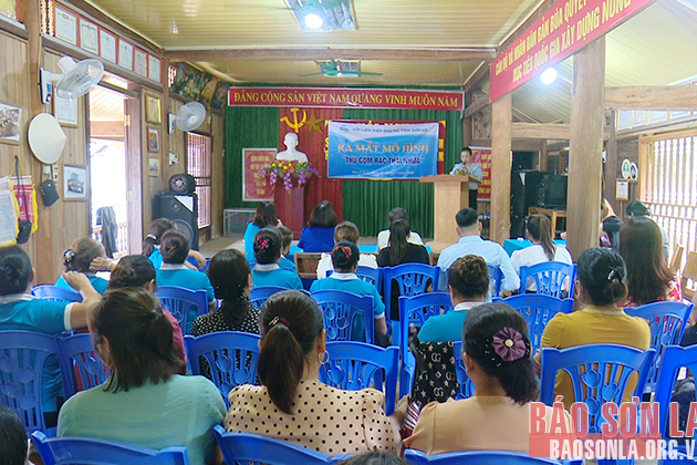 Thành lập 2 mô hình “Thu gom rác thải nhựa”