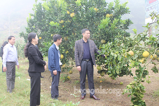  Xã Nà Bó (Mai Sơn) đủ điều kiện đạt chuẩn nông thôn mới