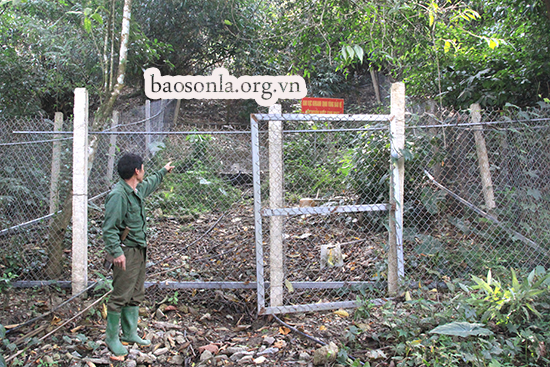 Thời gian qua, công tác bảo vệ môi trường ở xã Quy Hướng (Mộc Châu) luôn được chính quyền, các tổ chức đoàn thể và nhân dân chú trọng triển khai đạt nhiều kết quả tích cực, góp phần nâng cao chất lượng cuộc sống của người dân nông thôn.