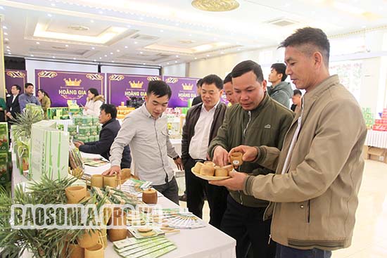 Độc đáo sản phẩm thủ công mỹ nghệ OCOP 4 sao