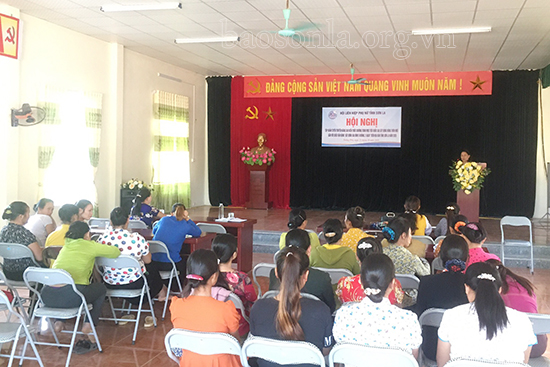  Tập huấn kiến thức về Chương trình mục tiêu Quốc gia xây dựng nông thôn mới