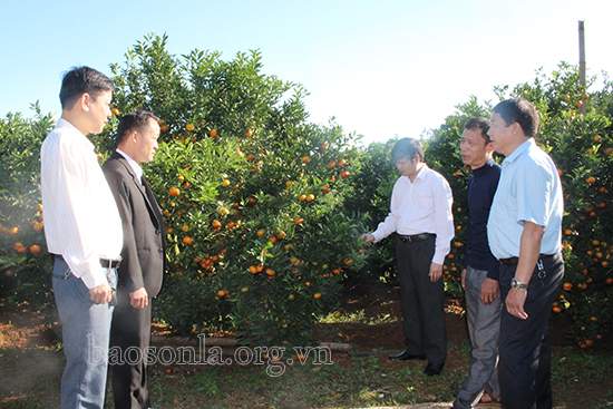 Xã Tân Lập đủ điều kiện đạt chuẩn NTM năm 2020