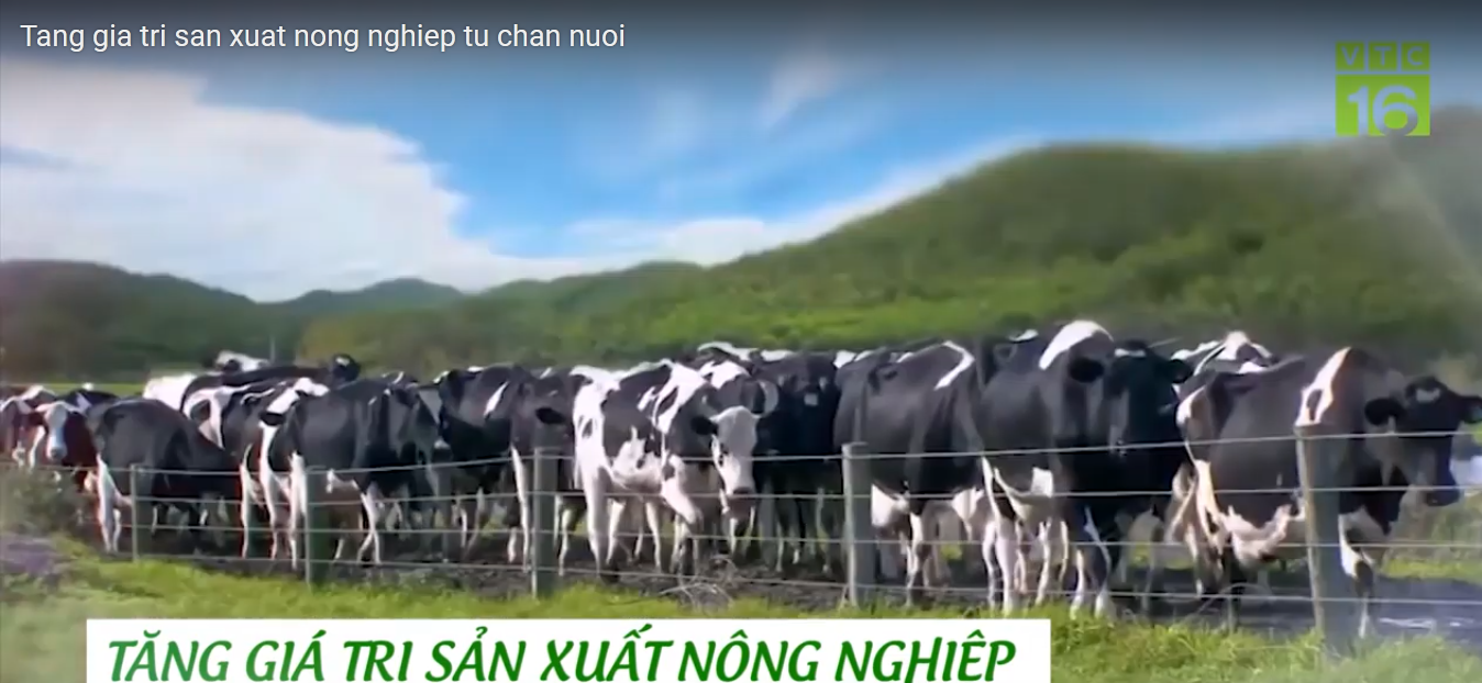 Tăng giá trị sản xuất nông nghiệp từ chăn nuôi