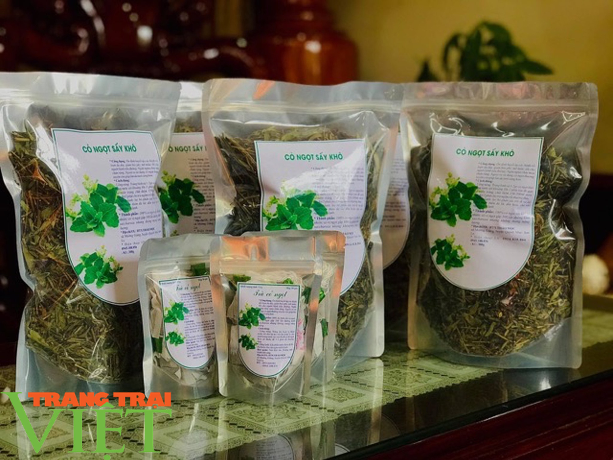 Xây dựng thương hiệu cỏ ngọt Quỳnh Nhai