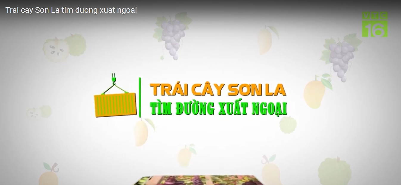 Trái cây Sơn La tìm đường xuất ngoại
