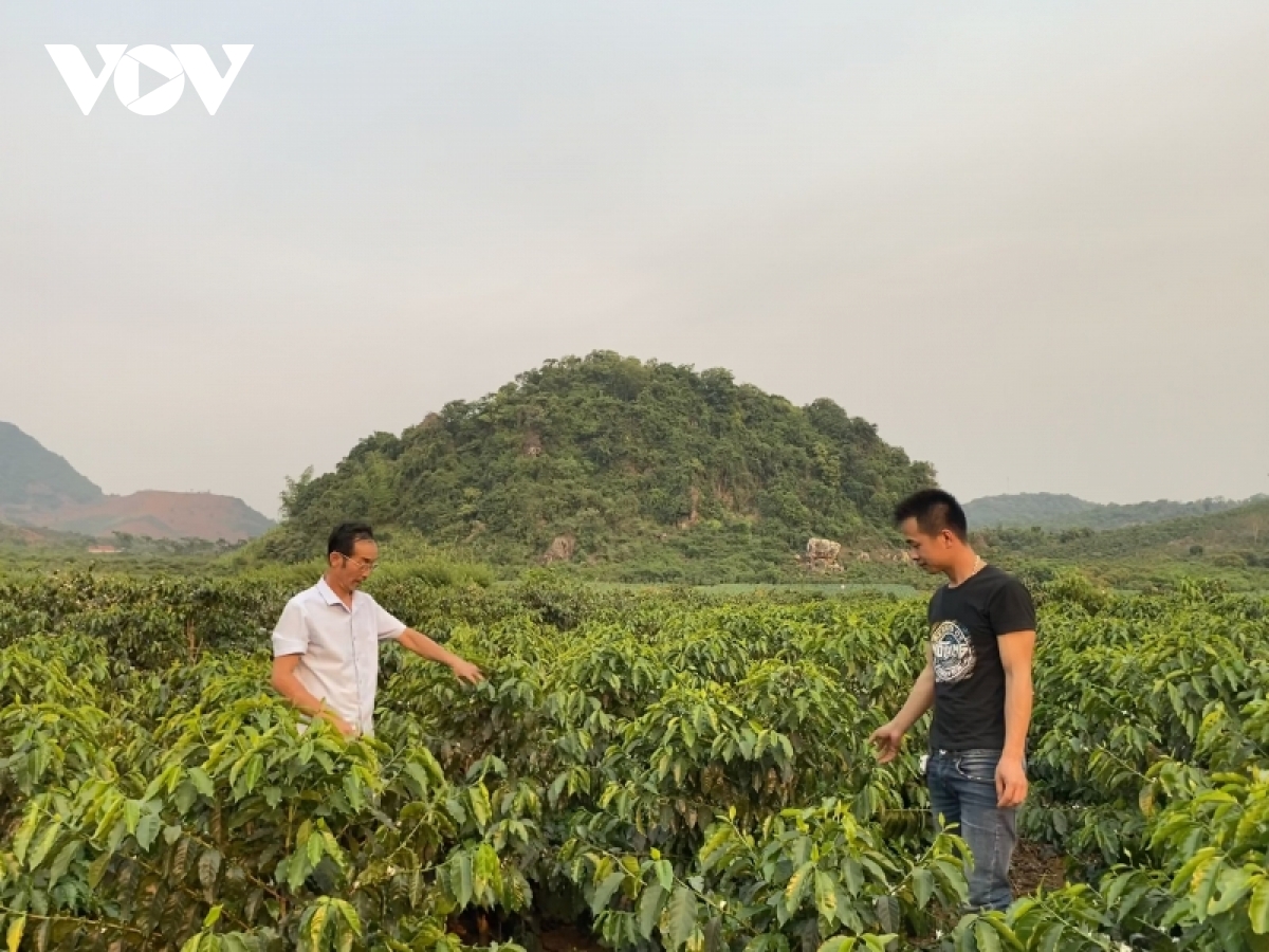 OCOP Sơn La vươn ra thế giới